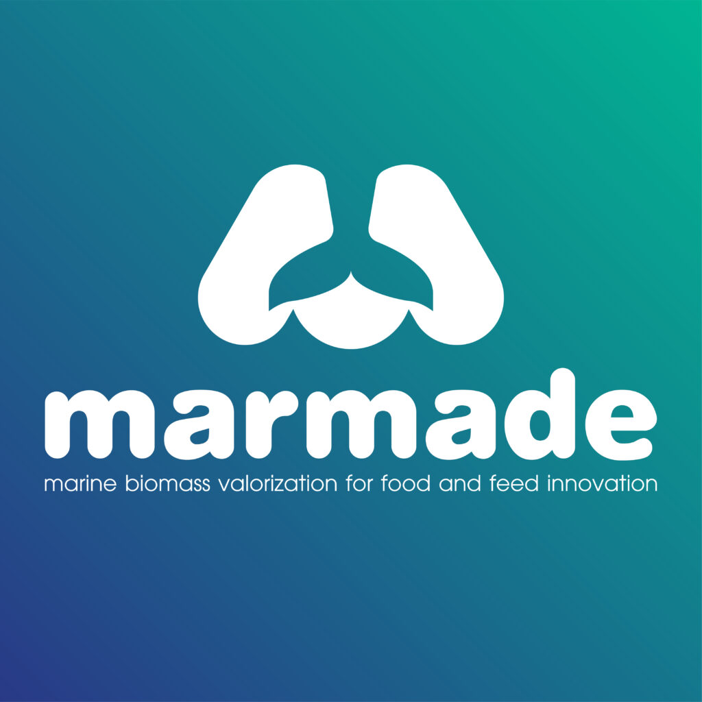 Logo of the project marmade consisting of the word marmade and an M with a fishtail in the middle on a blue green background